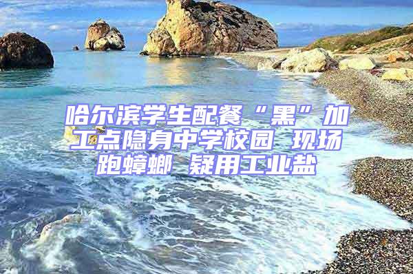 哈爾濱學(xué)生配餐“黑”加工點(diǎn)隱身中學(xué)校園 現(xiàn)場跑蟑螂 疑用工業(yè)鹽