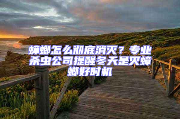 蟑螂怎么徹底消滅？專業(yè)殺蟲公司提醒冬天是滅蟑螂好時機(jī)