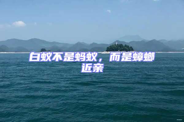 白蟻不是螞蟻，而是蟑螂近親