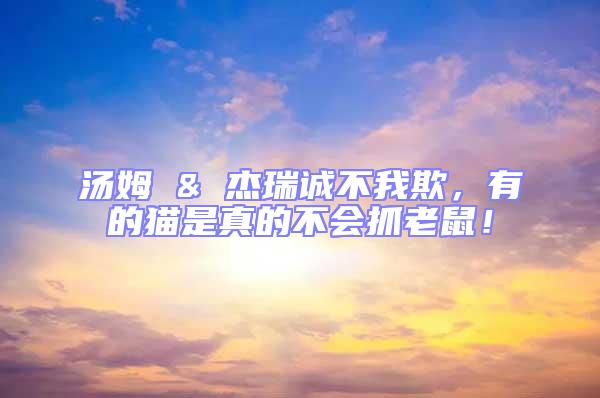 湯姆 & 杰瑞誠(chéng)不我欺，有的貓是真的不會(huì)抓老鼠！