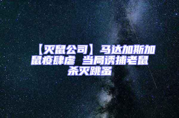 【滅鼠公司】馬達加斯加鼠疫肆虐 當(dāng)局誘捕老鼠殺滅跳蚤