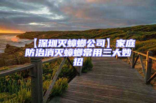 【深圳滅蟑螂公司】家庭防治消滅蟑螂常用三大妙招