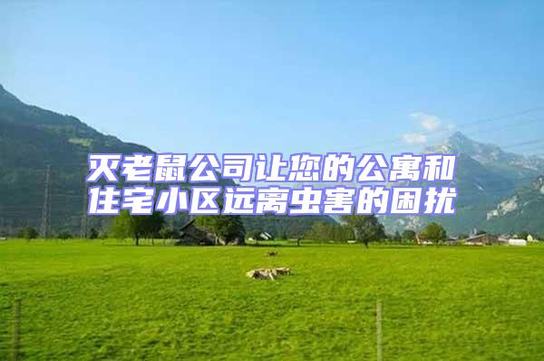 滅老鼠公司讓您的公寓和住宅小區(qū)遠離蟲害的困擾
