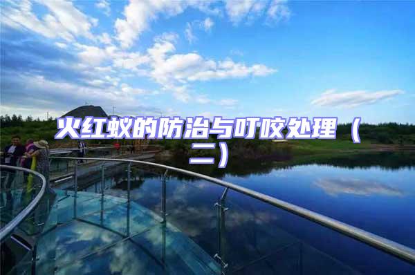 火紅蟻的防治與叮咬處理（二）