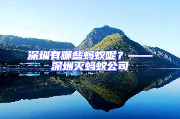 深圳有哪些螞蟻呢？——深圳滅螞蟻公司