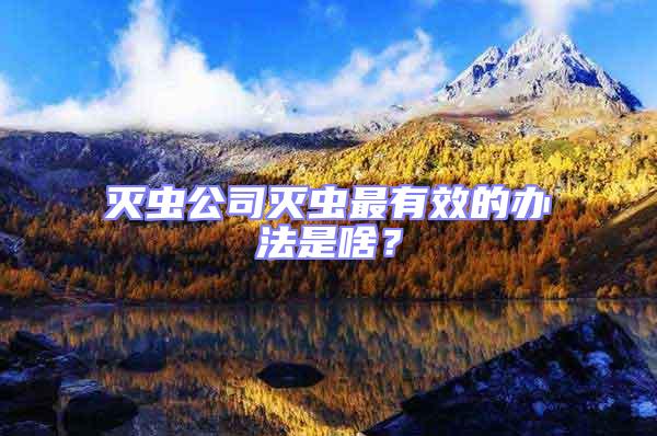 滅蟲公司滅蟲最有效的辦法是啥？