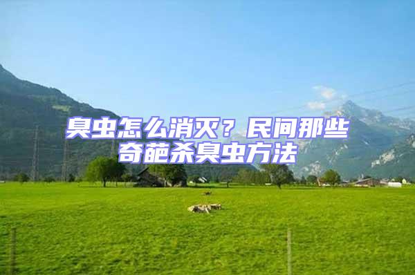 臭蟲怎么消滅？民間那些奇葩殺臭蟲方法