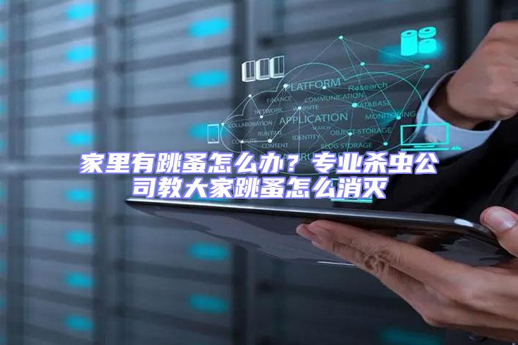 家里有跳蚤怎么辦？專業(yè)殺蟲公司教大家跳蚤怎么消滅