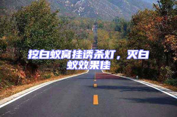 挖白蟻窩掛誘殺燈，滅白蟻效果佳