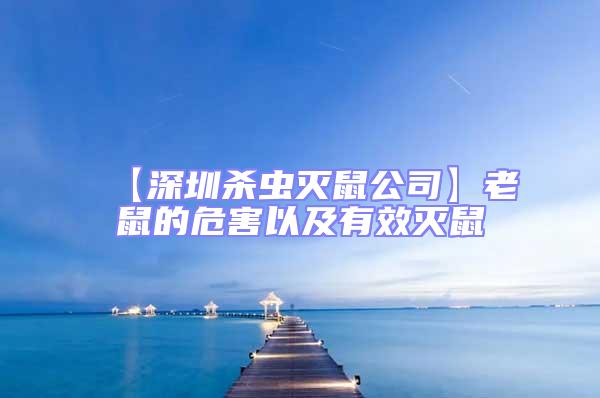 【深圳殺蟲(chóng)滅鼠公司】老鼠的危害以及有效滅鼠