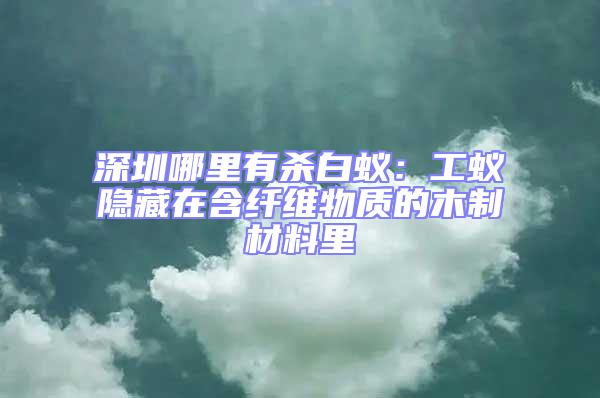 深圳哪里有殺白蟻:工蟻隱藏在含纖維物質(zhì)的木制材料里