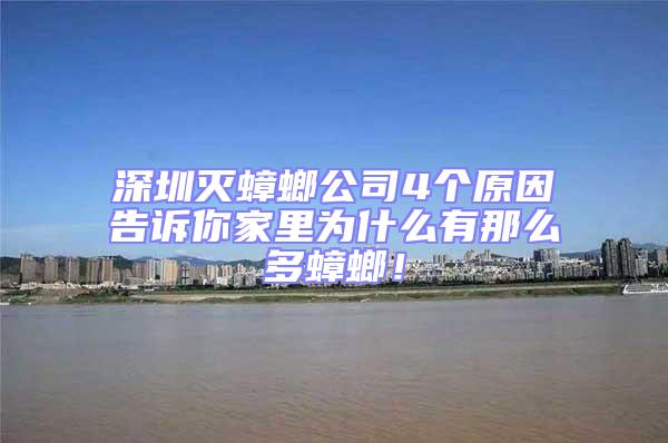 深圳滅蟑螂公司4個(gè)原因告訴你家里為什么有那么多蟑螂！