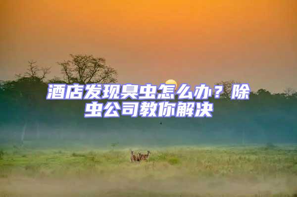 酒店發(fā)現(xiàn)臭蟲怎么辦？除蟲公司教你解決