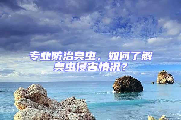 專業(yè)防治臭蟲，如何了解臭蟲侵害情況？