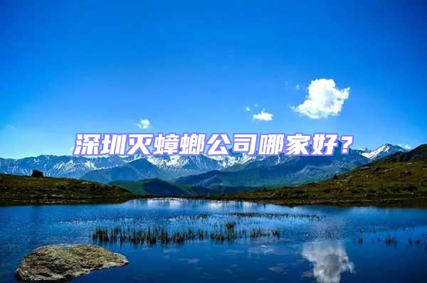 深圳滅蟑螂公司哪家好？