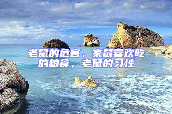 老鼠的危害，家鼠喜歡吃的糧食，老鼠的習(xí)性