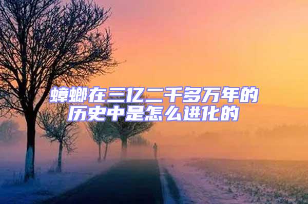 蟑螂在三億二千多萬年的歷史中是怎么進(jìn)化的