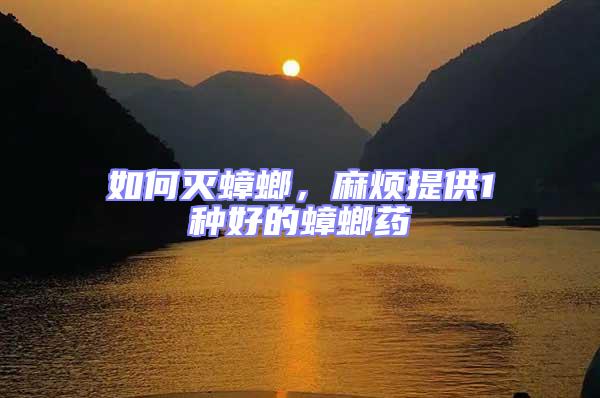 如何滅蟑螂，麻煩提供1種好的蟑螂藥