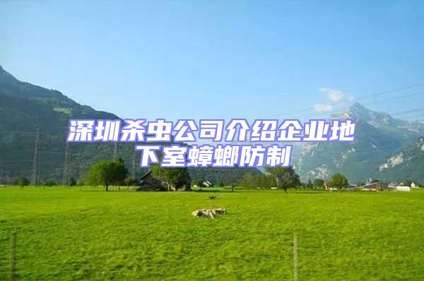 深圳殺蟲(chóng)公司介紹企業(yè)地下室蟑螂防制