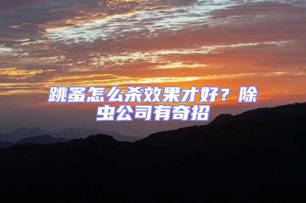 跳蚤怎么殺效果才好？除蟲公司有奇招