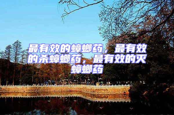 最有效的蟑螂藥，最有效的殺蟑螂藥，最有效的滅蟑螂藥