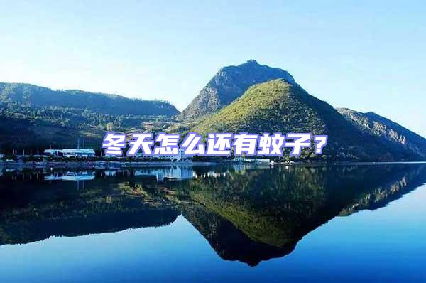 冬天怎么還有蚊子？