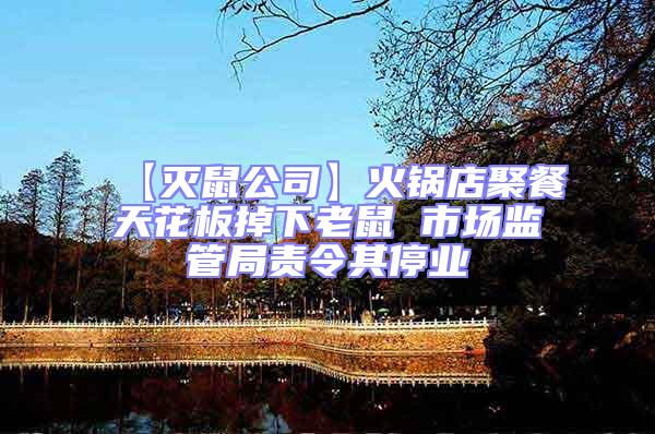 【滅鼠公司】火鍋店聚餐天花板掉下老鼠 市場(chǎng)監(jiān)管局責(zé)令其停業(yè)