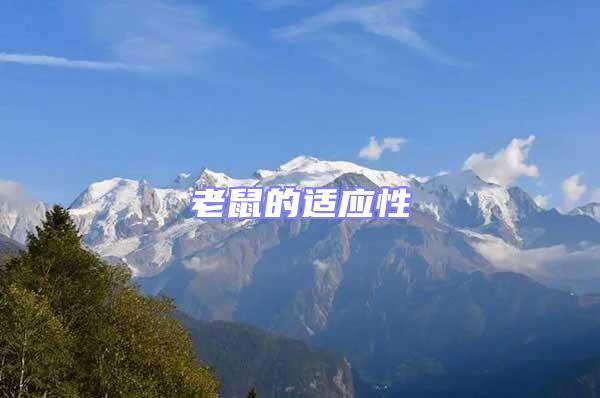 老鼠的適應(yīng)性