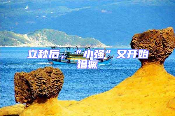 立秋后，“小強”又開始猖獗