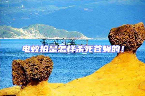 電蚊拍是怎樣殺死蒼蠅的！