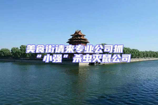 美食街請來專業(yè)公司抓“小強”殺蟲滅鼠公司