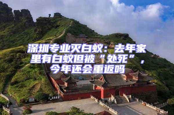 深圳專業(yè)滅白蟻：去年家里有白蟻但被“處死”，今年還會(huì)重返嗎