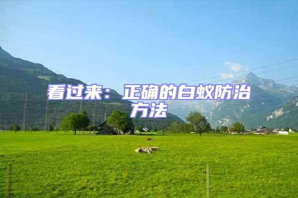 看過(guò)來(lái)：正確的白蟻防治方法