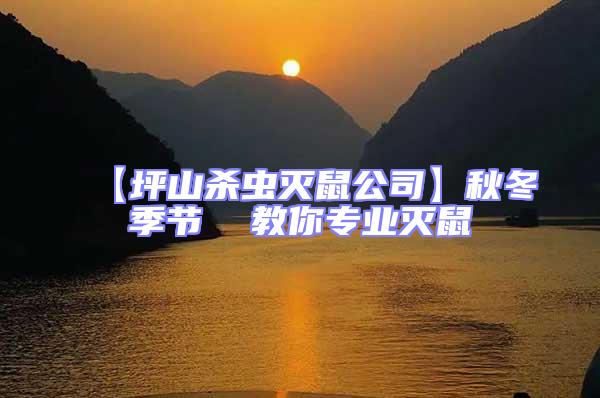 【坪山殺蟲(chóng)滅鼠公司】秋冬季節(jié)  教你專業(yè)滅鼠