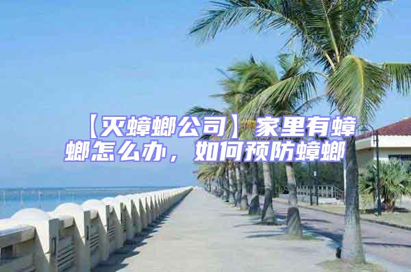 【滅蟑螂公司】家里有蟑螂怎么辦，如何預(yù)防蟑螂