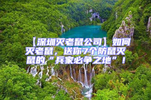 【深圳滅老鼠公司】如何滅老鼠，送你7個防鼠滅鼠的“兵家必爭之地”！