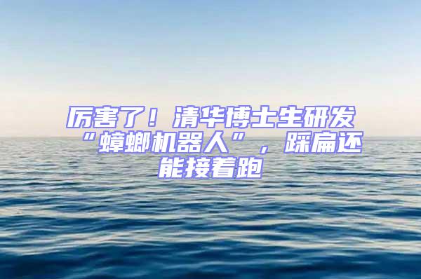 厲害了！清華博士生研發(fā)“蟑螂機器人”，踩扁還能接著跑