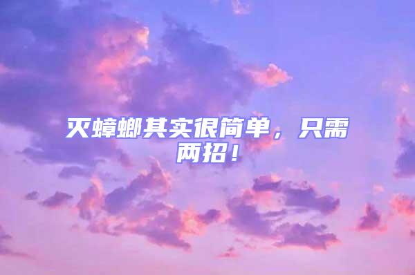 滅蟑螂其實很簡單，只需兩招！