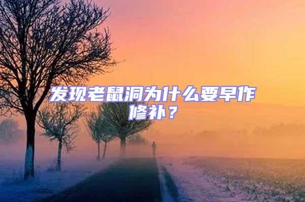 發(fā)現(xiàn)老鼠洞為什么要早作修補(bǔ)？