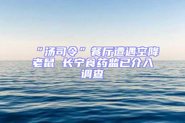 “湯司令”餐廳遭遇空降老鼠 長寧食藥監(jiān)已介入調(diào)查