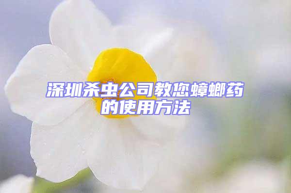 深圳殺蟲公司教您蟑螂藥的使用方法