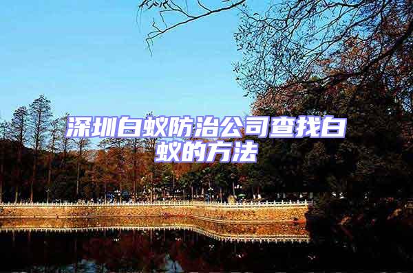 深圳白蟻防治公司查找白蟻的方法