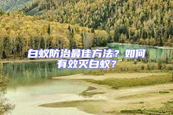 白蟻防治最佳方法？如何有效滅白蟻？