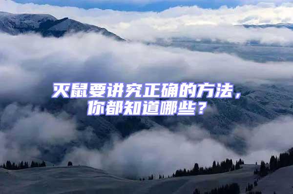 滅鼠要講究正確的方法，你都知道哪些？