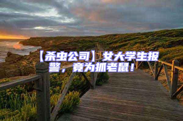 【殺蟲(chóng)公司】女大學(xué)生報(bào)警，竟為抓老鼠！