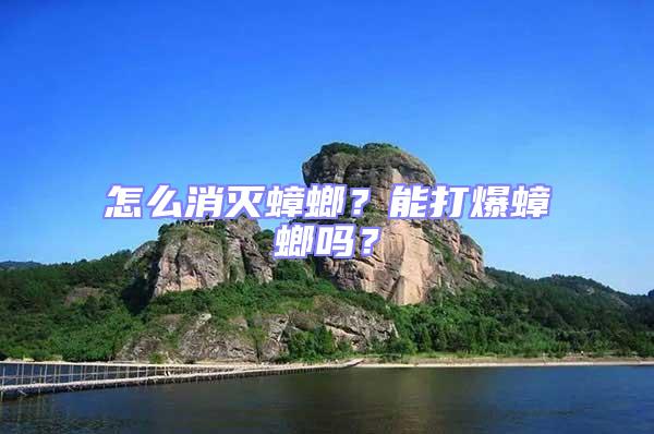 怎么消滅蟑螂？能打爆蟑螂嗎？