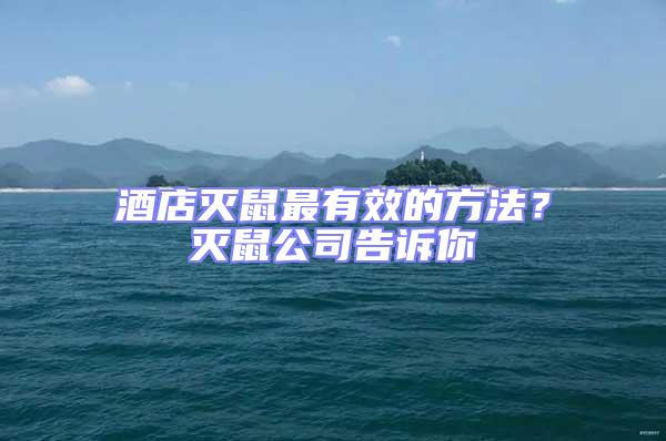 酒店滅鼠最有效的方法？滅鼠公司告訴你