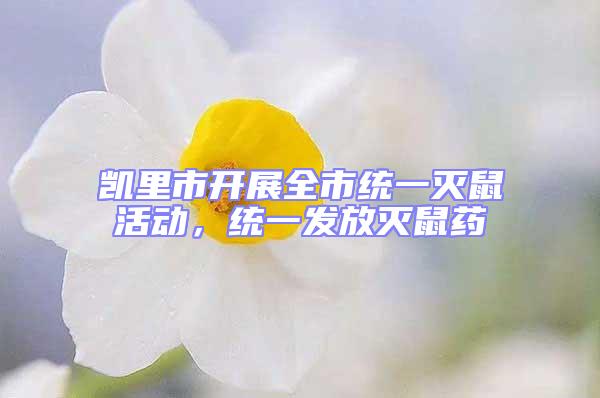 凱里市開展全市統(tǒng)一滅鼠活動(dòng)，統(tǒng)一發(fā)放滅鼠藥