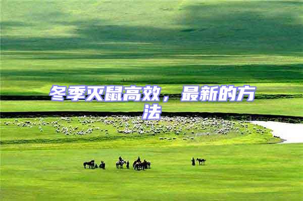 冬季滅鼠高效，最新的方法