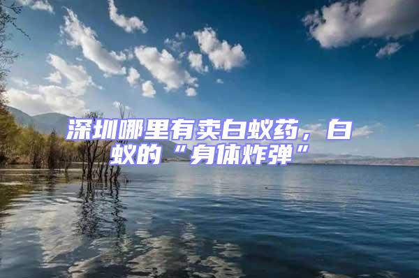 深圳哪里有賣白蟻藥，白蟻的“身體炸彈”